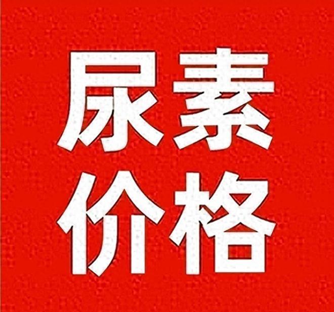 今天尿素出厂报价2024年1月6日