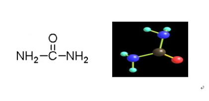 马婷你应该知道的尿素相关知识一(图1)