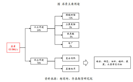 马婷你应该知道的尿素相关知识一(图2)