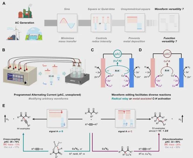 催化羰基化！兰州化物所武汉大学Science(图10)