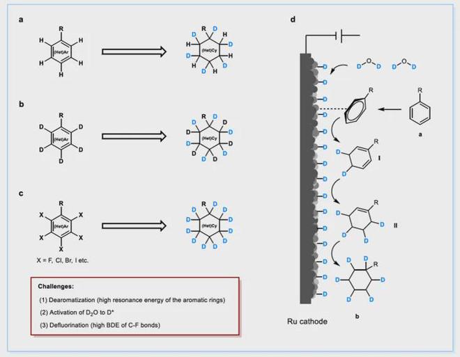 催化羰基化！兰州化物所武汉大学Science(图7)