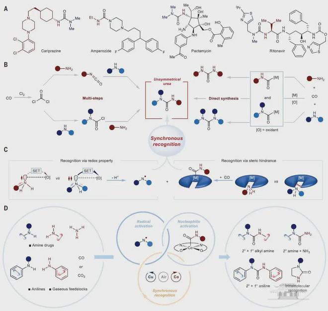 武汉大学雷爱文团队一年连发3篇NatureScience正刊！(图3)