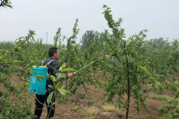 尿素属于什么肥(图4)