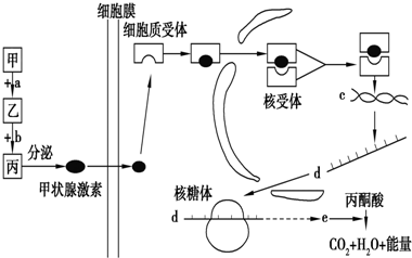 下列属于人体内环境的组成成分是(图1)