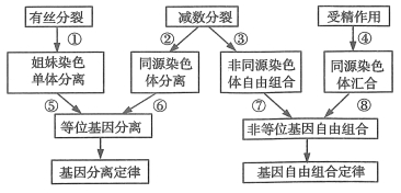 下列不属于内环境成分的物质是