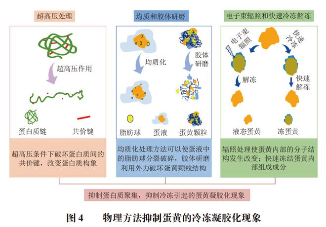 《食品科学》：贵州医科大学黄群教授、李鑫博士等：蛋黄冷冻凝胶化的产生原因及抑制方法的研究进展(图5)