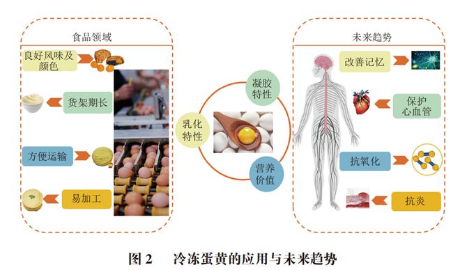 《食品科学》：贵州医科大学黄群教授、李鑫博士等：蛋黄冷冻凝胶化的产生原因及抑制方法的研究进展(图2)