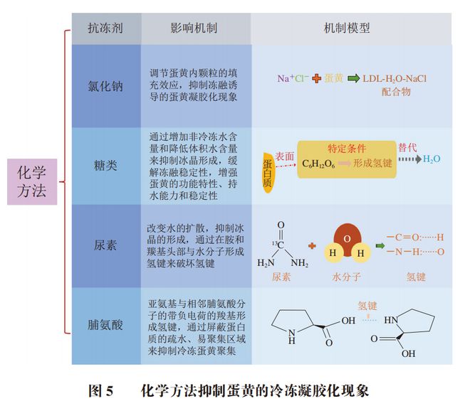 《食品科学》：贵州医科大学黄群教授、李鑫博士等：蛋黄冷冻凝胶化的产生原因及抑制方法的研究进展(图6)