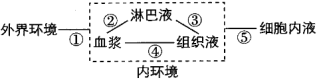 江苏省连云港高级中学2023-2024学年高二11月期中生物试题(图1)