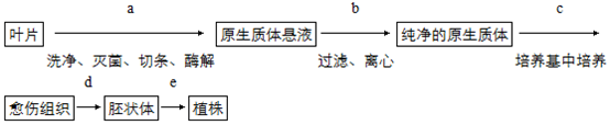 下列各组成分中(图2)