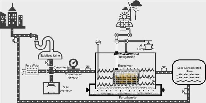 原位电化学突破—从废液中提取尿素转化为高纯度过氧尿素(图3)